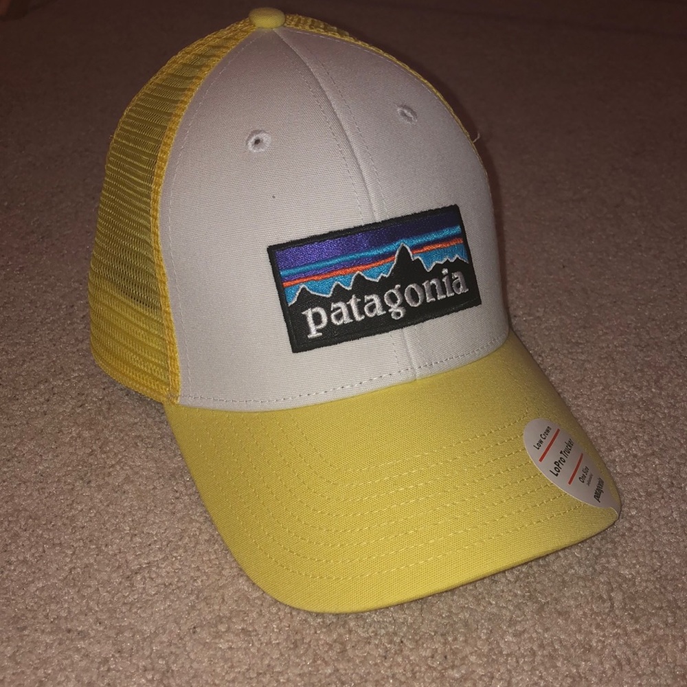 Patagonia Trucker Hat